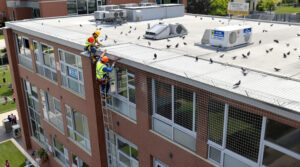 obtenez un devis précis pour le dépigeonnage de votre école en respectant les normes de sécurité. découvrez les méthodes efficaces et les coûts associés pour un environnement sain.