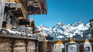 entreprise de dépigeonnage à albertville (73200) proposant des solutions efficaces et un tarif compétitif pour le nettoyage et l'élimination des nuisibles. demandez votre devis personnalisé.