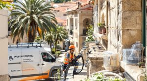entreprise de dépigeonnage à bastia (20200) offrant des solutions efficaces pour éliminer les pigeons. découvrez nos tarifs compétitifs et nos services de nettoyage professionnels adaptés à vos besoins.
