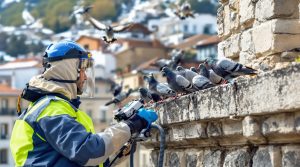 entreprise de dépigeonnage à briançon (05100) offrant des solutions efficaces de nettoyage contre les pigeons. découvrez nos tarifs compétitifs et nos services professionnels pour protéger votre bâtiment.