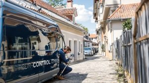 entreprise spécialisée en dépigeonnage à castelnaudary (11400) offrant des solutions efficaces pour éliminer les pigeons. découvrez nos tarifs compétitifs et services de nettoyage professionnels adaptés à vos besoins.