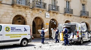 entreprise de dépigeonnage à dole (39100) proposant des solutions efficaces de nettoyage avec des tarifs compétitifs. contactez notre société pour un devis personnalisé.