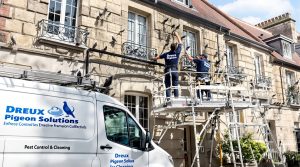 entreprise de dépigeonnage à dreux (28100) proposant des solutions efficaces. découvrez nos tarifs compétitifs pour le nettoyage et l'élimination des pigeons.