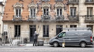 découvrez notre entreprise de dépigeonnage à évreux (27000) offrant des solutions efficaces de nettoyage à des tarifs compétitifs. contactez-nous pour un devis personnalisé et des prix adaptés à vos besoins.