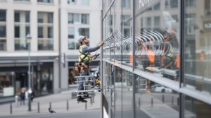 entreprise spécialisée en dépigeonnage à grenoble (38000) offrant des solutions efficaces de nettoyage. découvrez nos tarifs compétitifs pour protéger votre bâtiment des nuisibles.