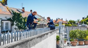 entreprise spécialisée en dépigeonnage à joué-lès-tours (37300). société professionnelle de nettoyage offrant des solutions efficaces à des tarifs compétitifs. demandez votre devis personnalisé dès maintenant.