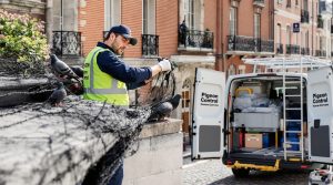 entreprise de dépigeonnage à la rochelle (17000) offrant des solutions efficaces de nettoyage. découvrez nos tarifs compétitifs pour un service professionnel de lutte contre les pigeons.