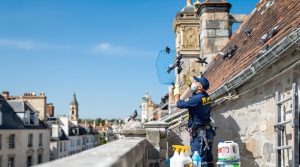 entreprise de dépigeonnage à lunéville (54300) proposant des solutions efficaces de nettoyage avec des tarifs compétitifs pour éliminer les pigeons et protéger vos bâtiments.