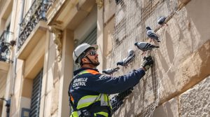 entreprise de dépigeonnage à marseille 13000 proposant des solutions efficaces pour le nettoyage. découvrez nos tarifs compétitifs et contactez notre société spécialisée pour un service rapide et professionnel.