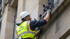 entreprise de dépigeonnage à millau (12100) spécialisée en nettoyage professionnel. découvrez nos solutions efficaces à prix compétitifs pour éliminer les pigeons.