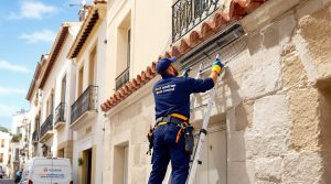 entreprise spécialisée en dépigeonnage à perpignan (66000) : solutions efficaces, tarifs compétitifs et services de nettoyage adaptés. contactez-nous pour un devis personnalisé.