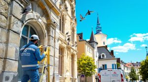 entreprise de dépigeonnage à rochefort (17300) proposant des solutions efficaces de nettoyage. découvrez nos tarifs compétitifs pour un service professionnel et durable.