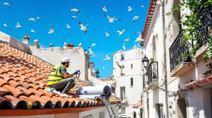 entreprise de dépigeonnage à sète (34200) proposant des solutions efficaces pour le nettoyage et la prévention des nuisibles, avec des tarifs compétitifs adaptés à vos besoins.