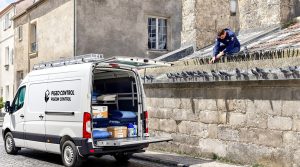 entreprise de dépigeonnage à sisteron (04200) spécialisée dans le nettoyage et l’élimination des nuisibles. découvrez nos solutions efficaces à prix compétitifs pour protéger votre habitat.