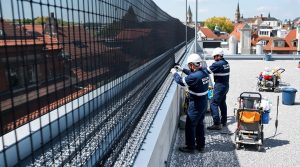 entreprise de dépigeonnage à toul (54200) proposant des solutions efficaces et un service de nettoyage professionnel. découvrez nos tarifs compétitifs et bénéficiez d'un devis personnalisé pour éliminer les pigeons.